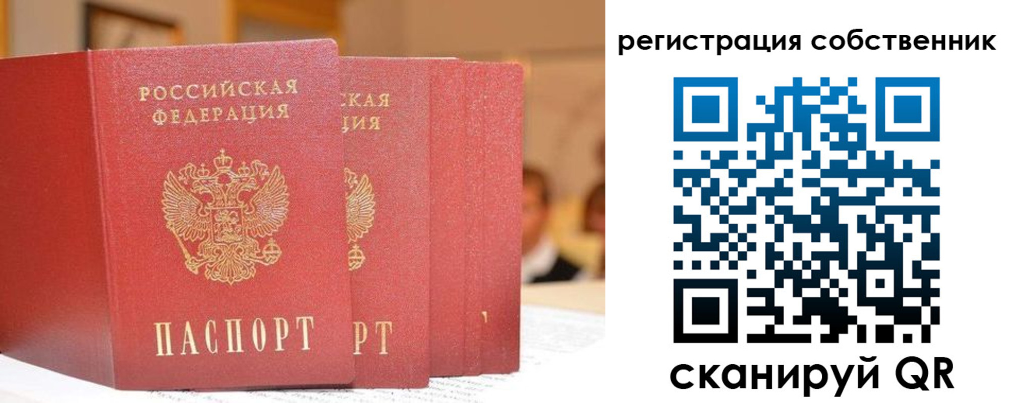 пропишу в квартире в Александрове